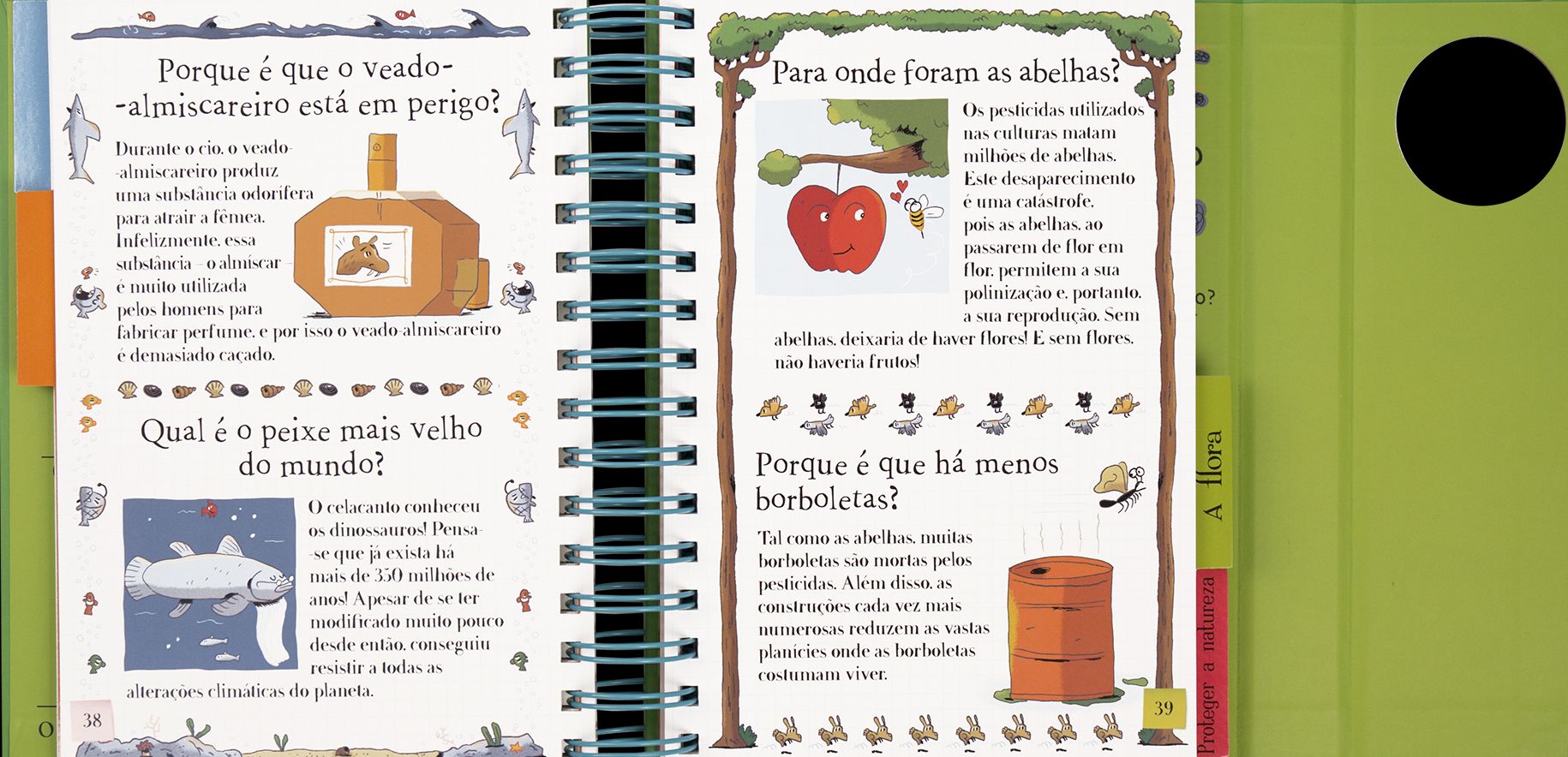 Diz-me! Proteger a Natureza! ( Imagem 4 de 5 ) - Preview