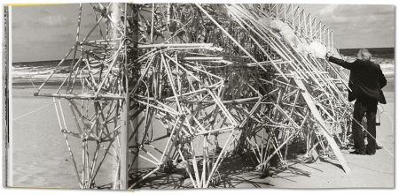 Strandbeest - The Dream Machines of Theo Jansen  ( Imagem 3 de 4 ) - Preview