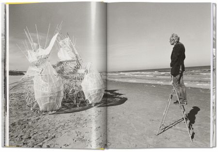 Strandbeest - The Dream Machines of Theo Jansen  ( Imagem 4 de 4 ) - Preview