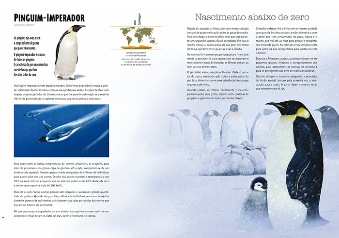 Nascer - Animais Extraordinários ( Imagem 2 de 2 ) - Preview