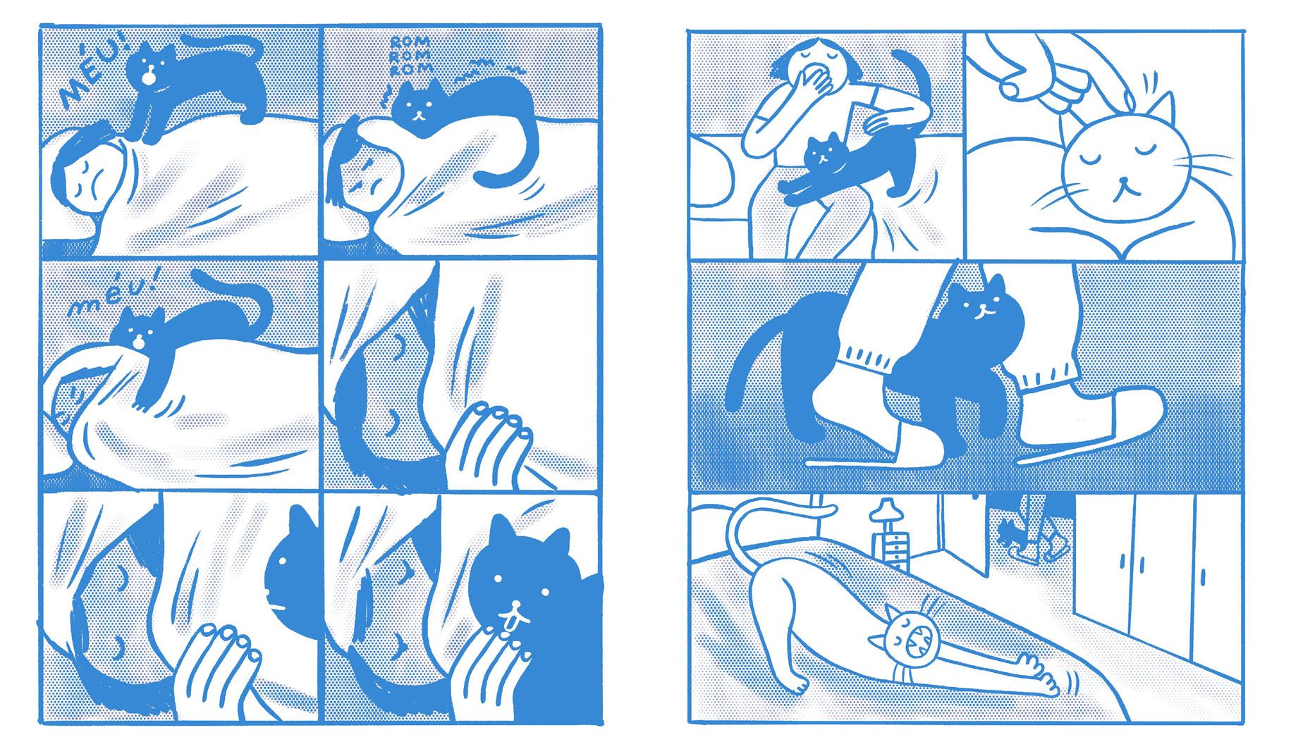 Miau! ( Imagem 2 de 5 ) - Preview