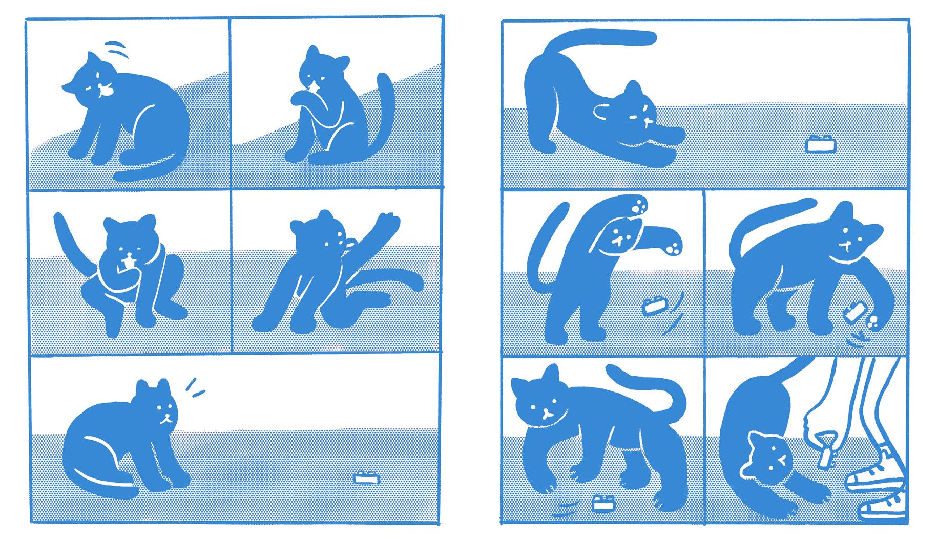 Miau! ( Imagem 4 de 5 ) - Preview