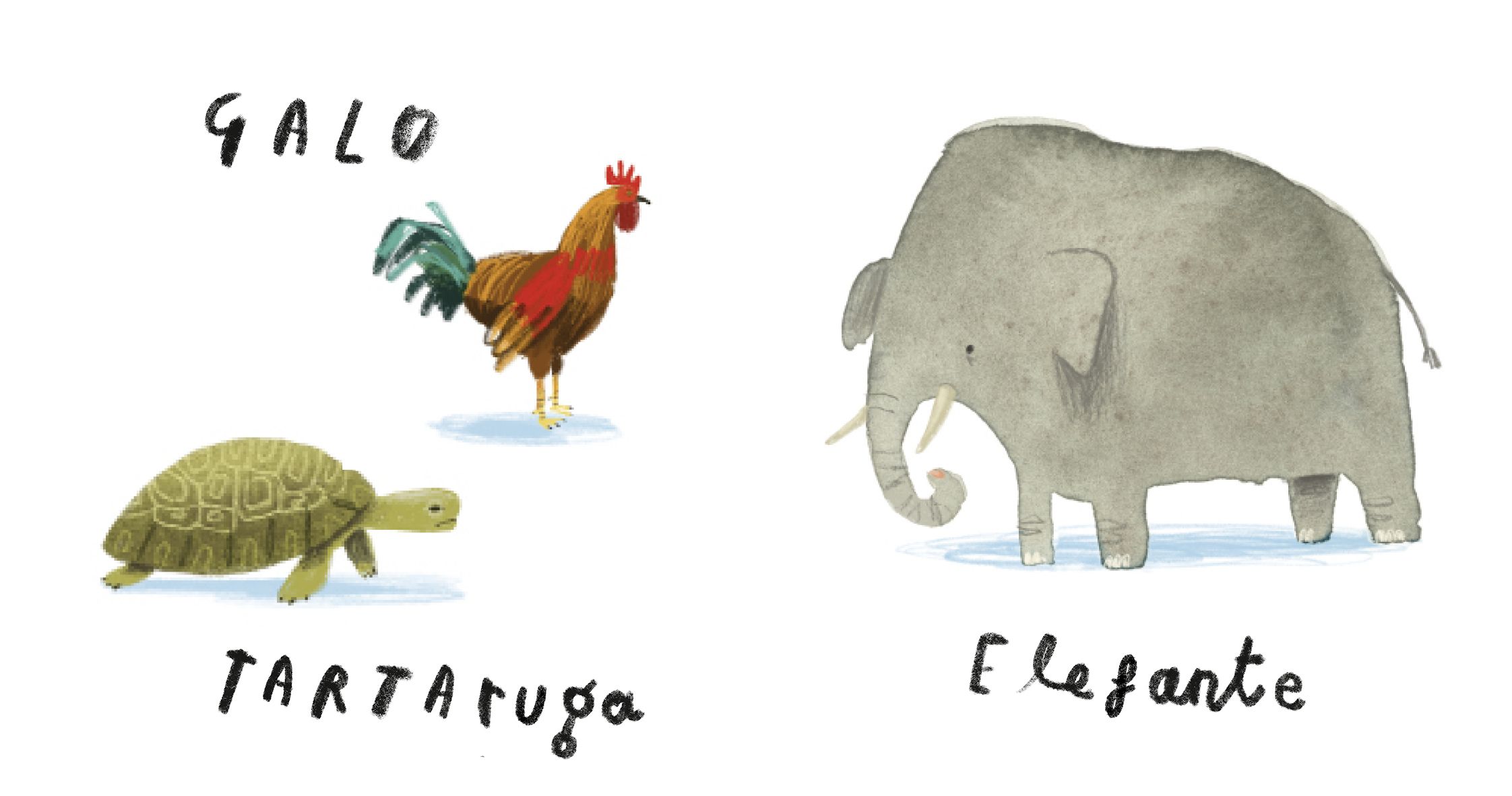 Aqui Estamos Nós - Livro dos Animais ( Imagem 3 de 3 ) - Preview