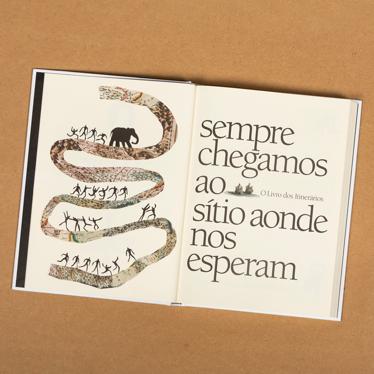 A Viagem do Elefante ( Imagem 4 de 5 ) - Preview