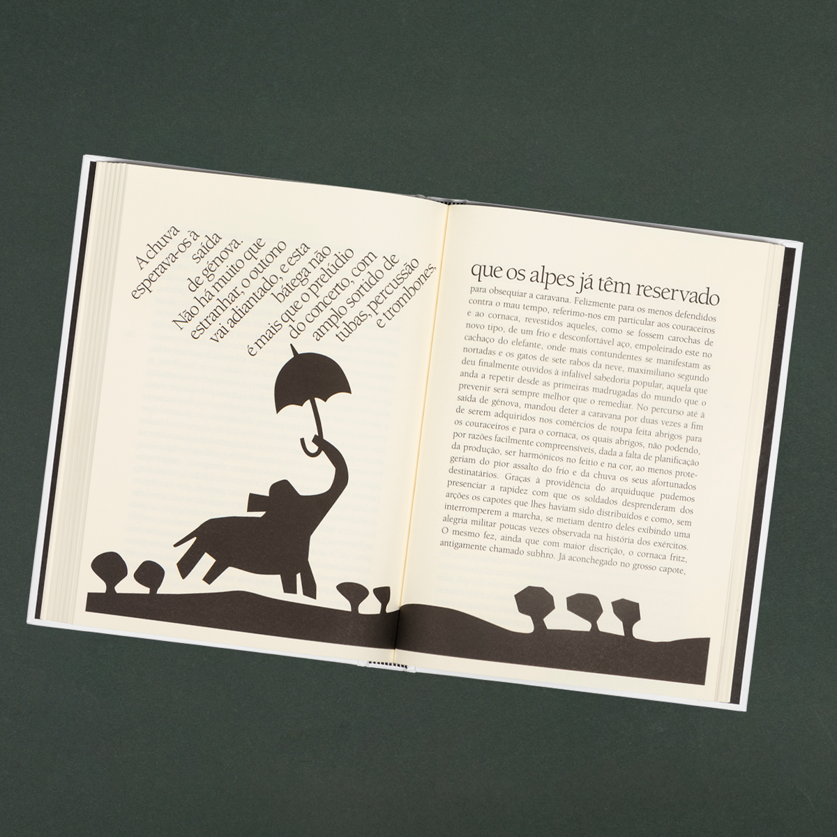 A Viagem do Elefante ( Imagem 5 de 5 ) - Preview
