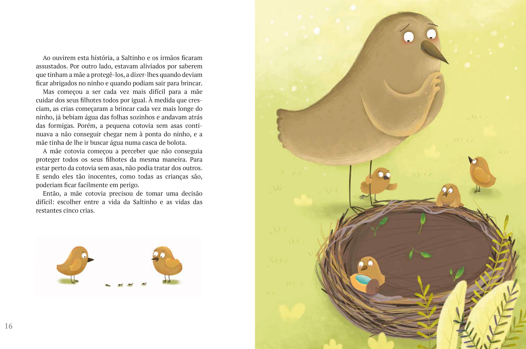 Saltinho, a Cotovia ( Imagem 2 de 2 ) - Preview