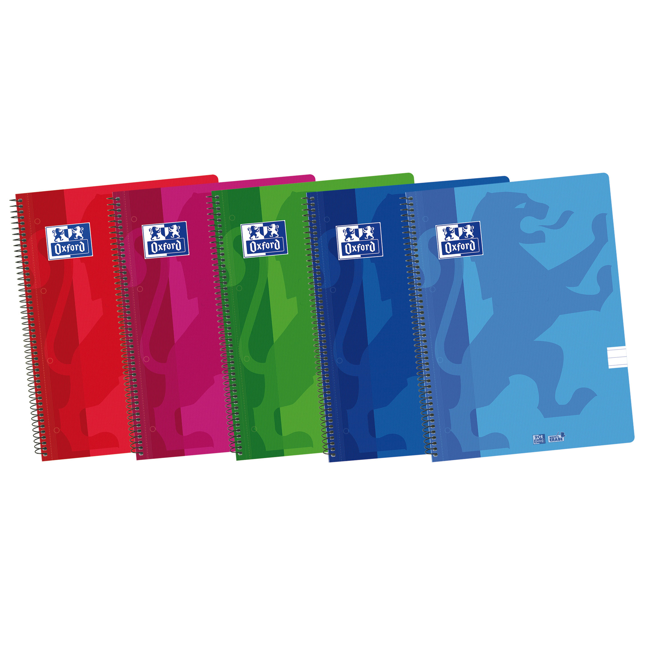 Caderno A4 Capa Pp Espiral Oxford Espiraflex Pautado Cores Vivas 50Fl 90G Sortido 400064964/400139592 ( Imagem 2 de 2 ) - Preview