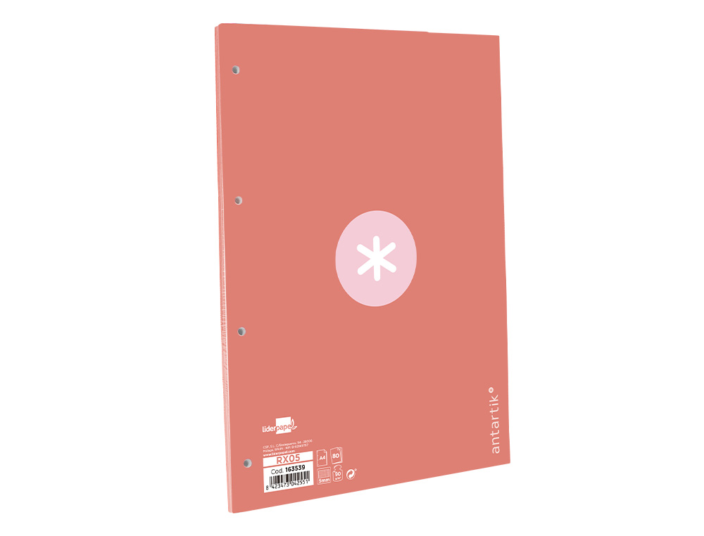 Recarga liderpapel a4 antartik 100 folhas 90g/m2 quadricula 5mm 4 furos 1 banda moldura cor rosa ( Imagem 3 de 12 ) - Preview