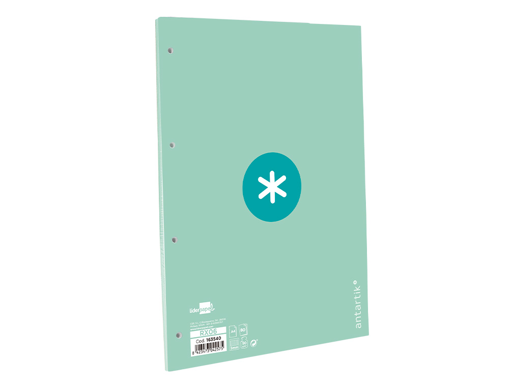 Recarga liderpapel a4 antartik 100 folhas 90g/m2 quadricula 5mm 4 furos 1 banda moldura cor menta ( Imagem 3 de 12 ) - Preview