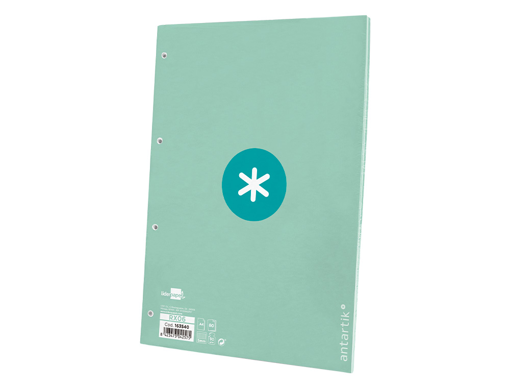 Recarga liderpapel a4 antartik 100 folhas 90g/m2 quadricula 5mm 4 furos 1 banda moldura cor menta ( Imagem 5 de 12 ) - Preview