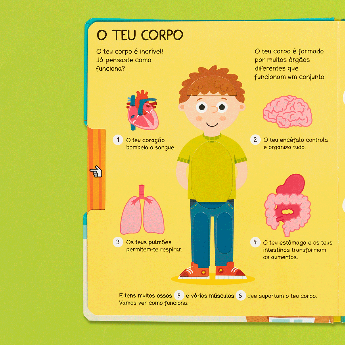 Observa e aprende - O meu corpo ( Imagem 2 de 3 ) - Preview
