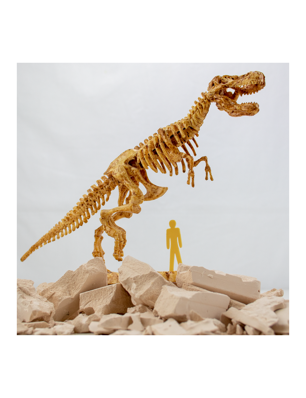 Science4you Escavações Fósseis T-REX ( Imagem 3 de 5 ) - Preview