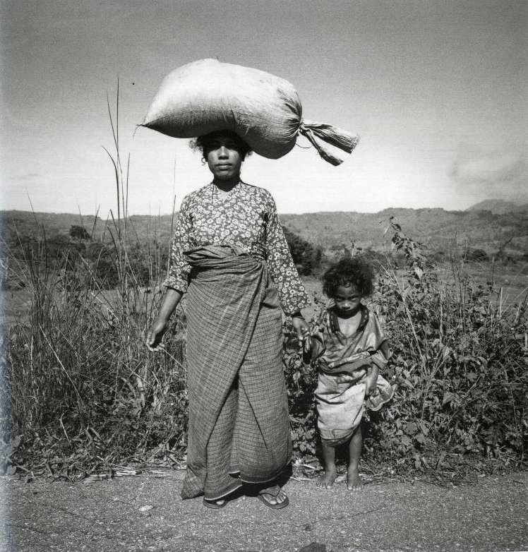 Timor ( Imagem 4 de 4 ) - Preview