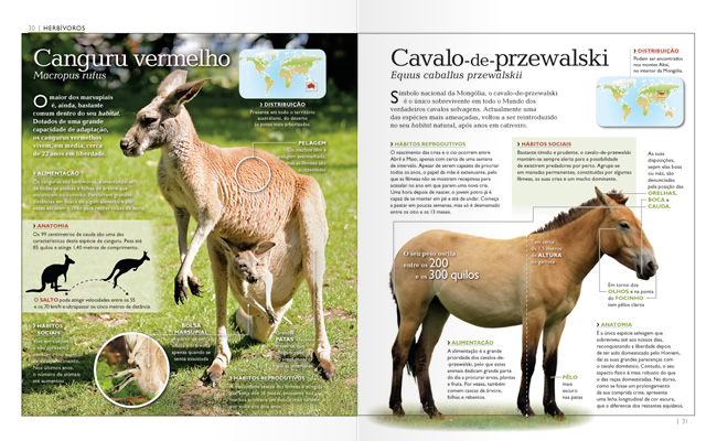 Herbívoros ( Imagem 3 de 4 ) - Preview