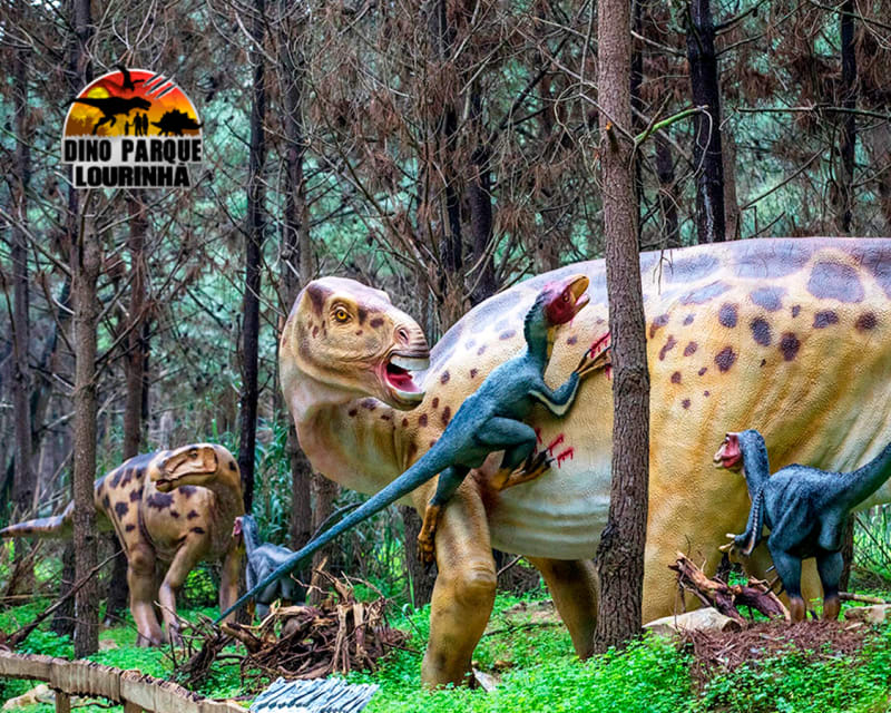 Odisseias Pack Presente - Diversão em Família - Experiência de Aventura ou Gourmet até 4 pessoas ( Imagem 4 de 4 ) - Preview