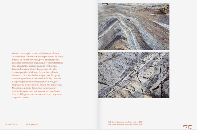 Terra Mineral - Terra Vegetal ( Imagem 2 de 5 ) - Preview