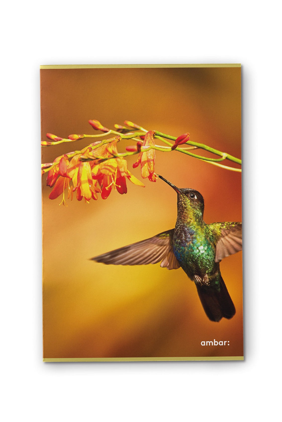 Caderno Agrafado Wild Life A4 48F 90G Pautado ( Imagem 3 de 7 ) - Preview