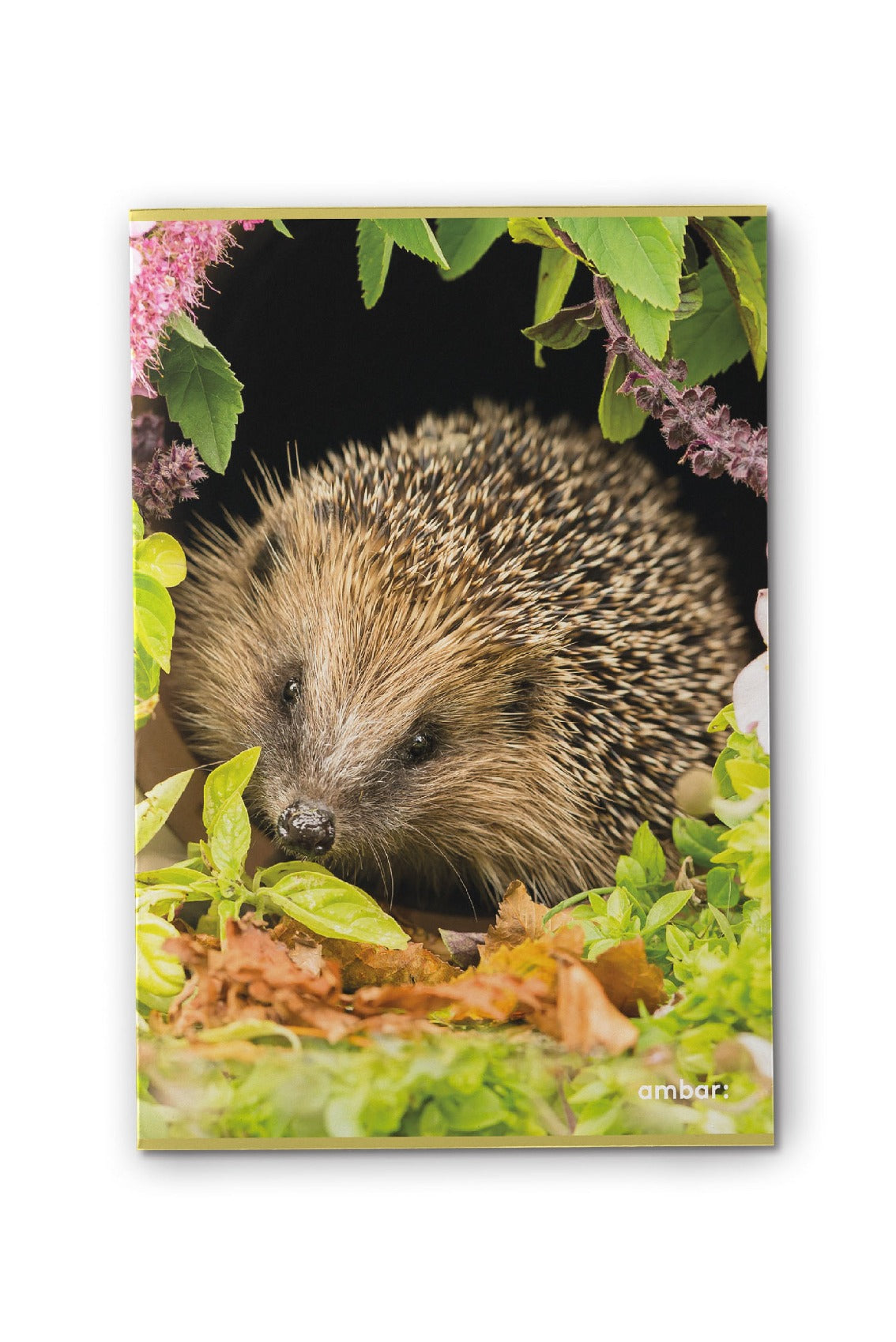 Caderno Agrafado Wild Life A4 48F 90G Pautado ( Imagem 5 de 7 ) - Preview
