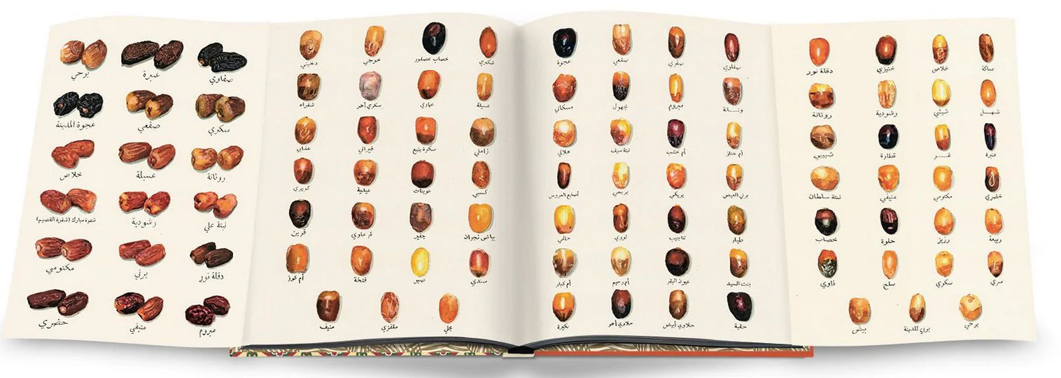Saudi Dates - A Portrait Of The Sacred Fruit ( Imagem 2 de 5 ) - Preview