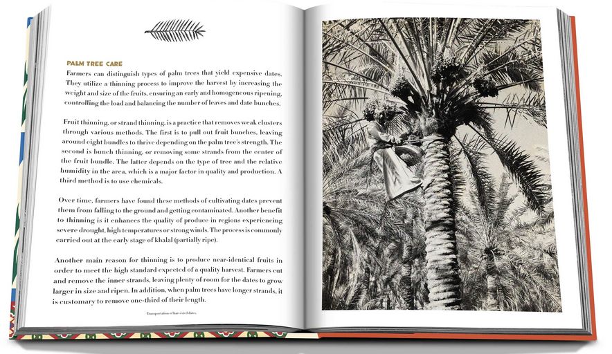 Saudi Dates - A Portrait Of The Sacred Fruit ( Imagem 4 de 5 ) - Preview