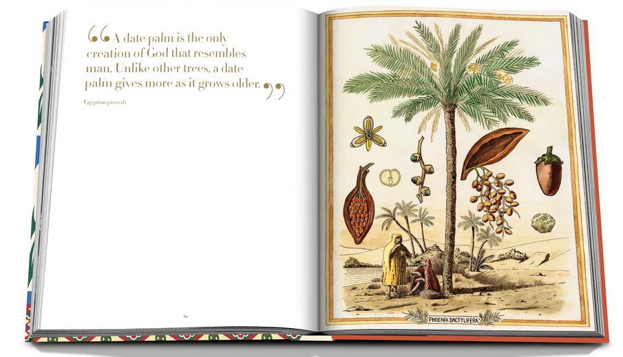 Saudi Dates - A Portrait Of The Sacred Fruit ( Imagem 5 de 5 ) - Preview