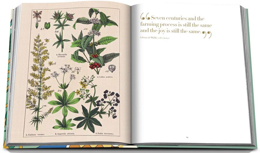 Saudi Coffee - The Culture Of Hospitality ( Imagem 4 de 5 ) - Preview