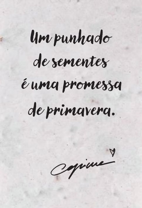 Cor-de-Margarida (com marcador de sementes - exclusivo Wook) ( Imagem 2 de 2 ) - Preview