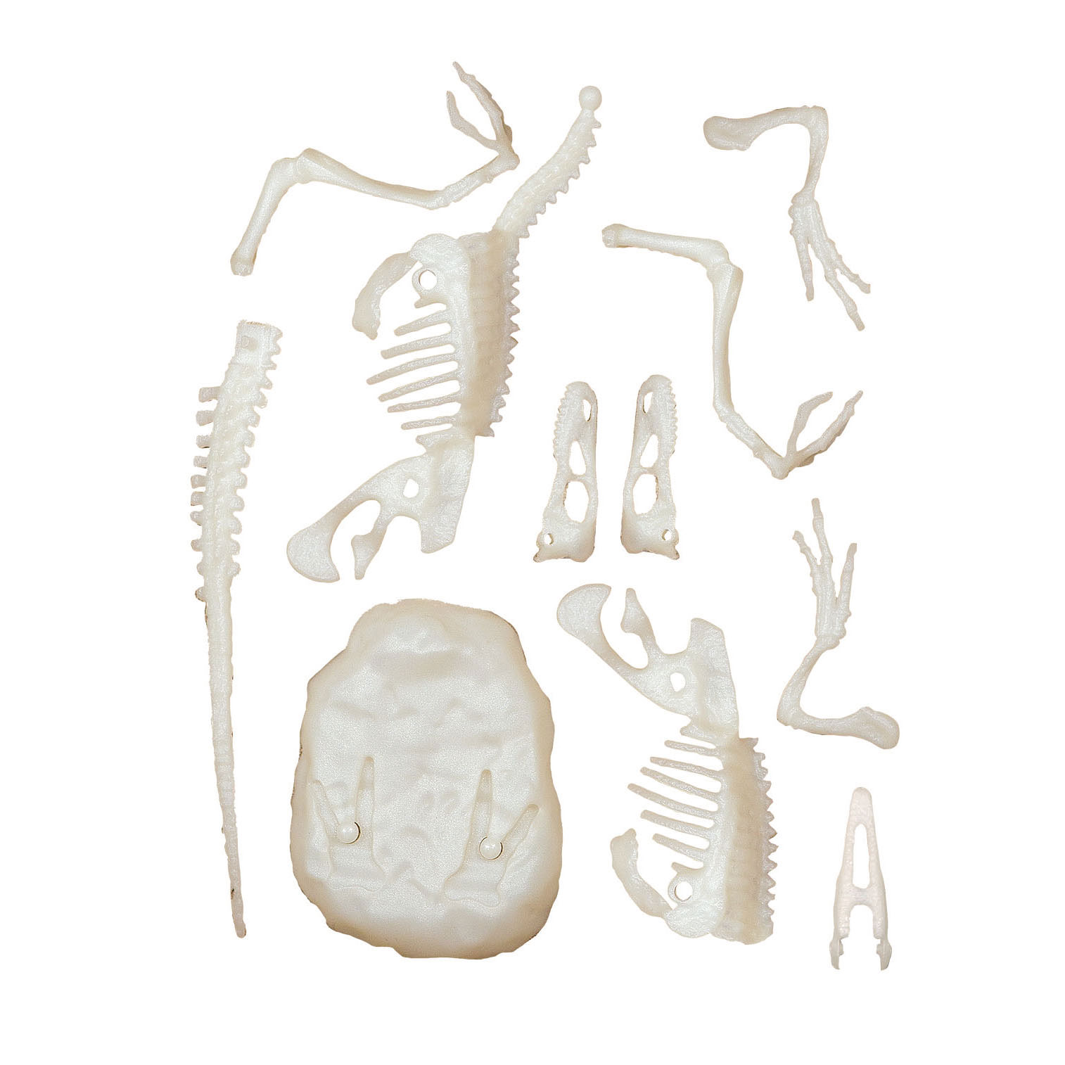 Kit Arqueologia Velociraptor Clementoni Ciencia & Jogo 67737 ( Imagem 3 de 3 ) - Preview