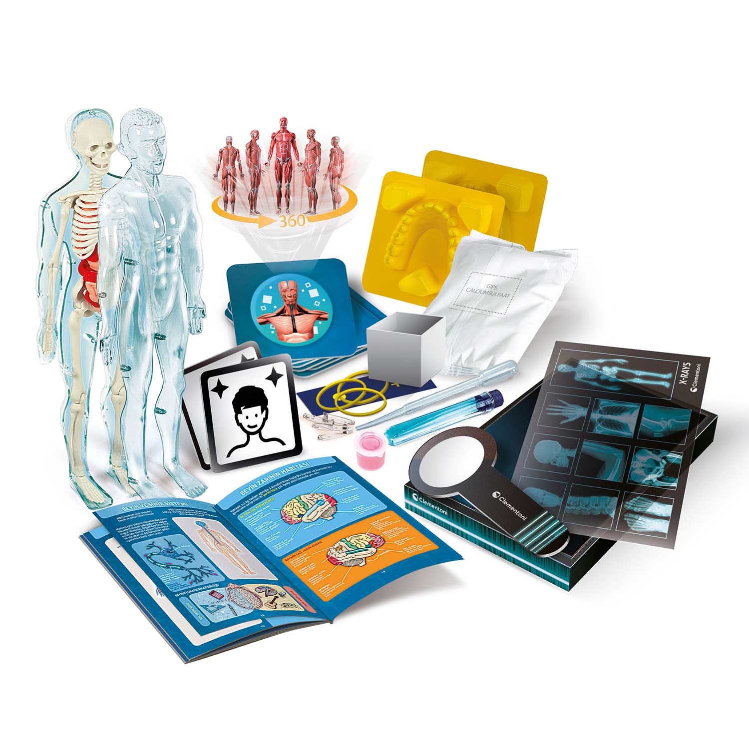 Super Anatomia ( Imagem 3 de 3 ) - Preview