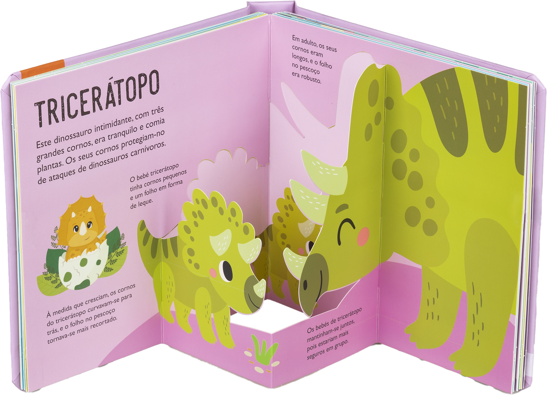 Dinossauros-bebés ( Imagem 2 de 2 ) - Preview