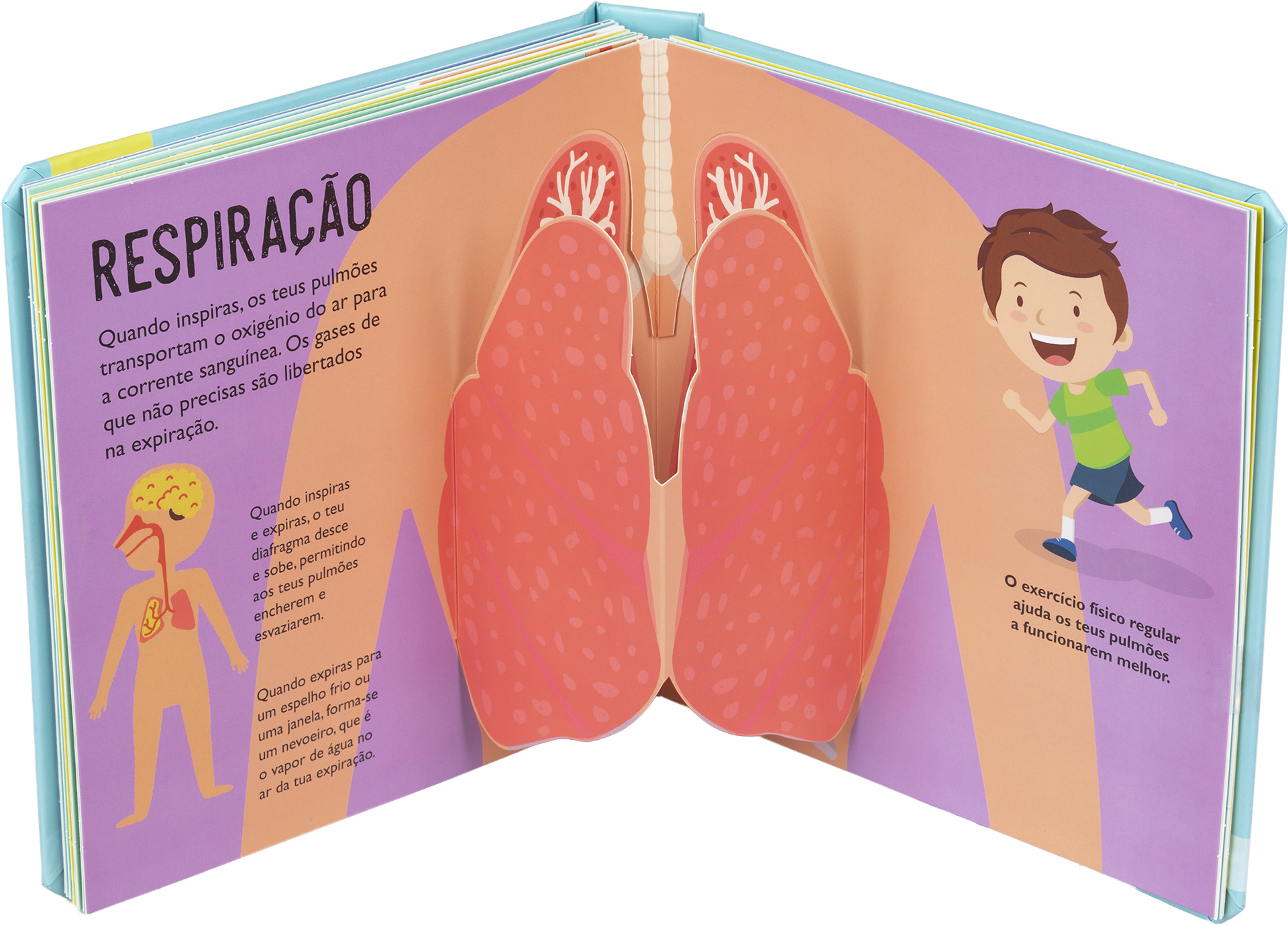 Corpo Humano ( Imagem 2 de 2 ) - Preview