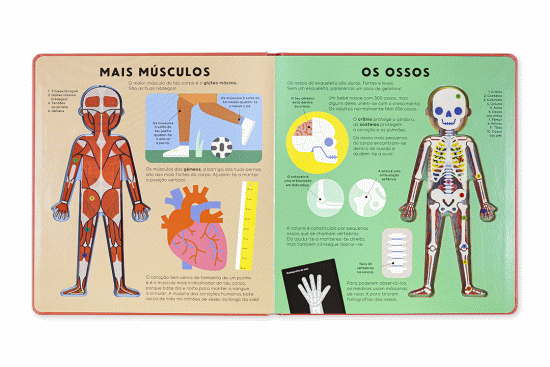 O Livro do Corpo Humano ( Imagem 2 de 4 ) - Preview