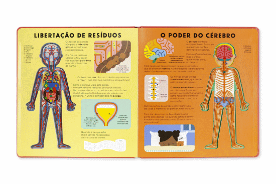 O Livro do Corpo Humano ( Imagem 3 de 4 ) - Preview