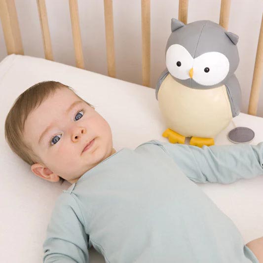 Peluche Musical Little Big Friends Colette A Coruja 20Cm 302597 ( Imagem 4 de 4 ) - Preview