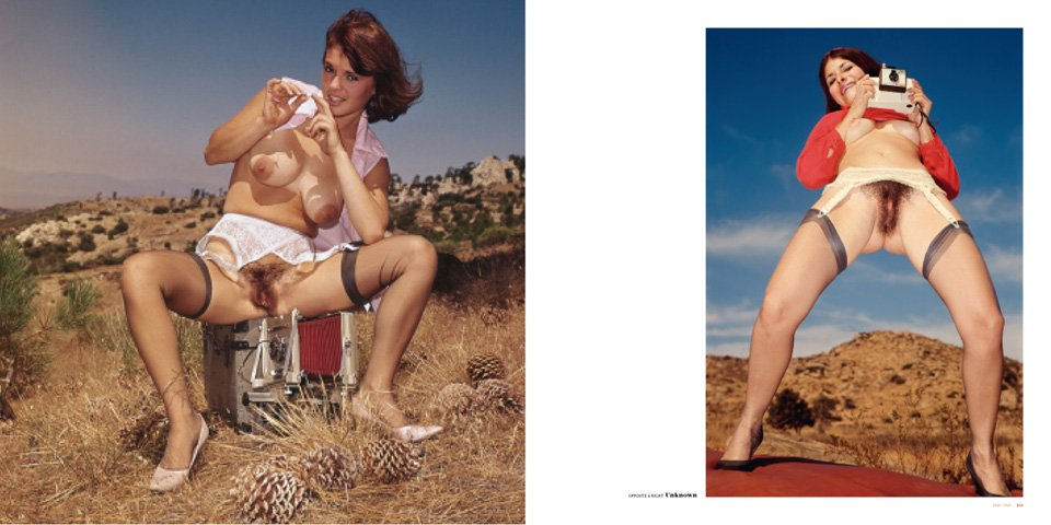 The Big Book of Pussy ( Imagem 2 de 4 ) - Preview