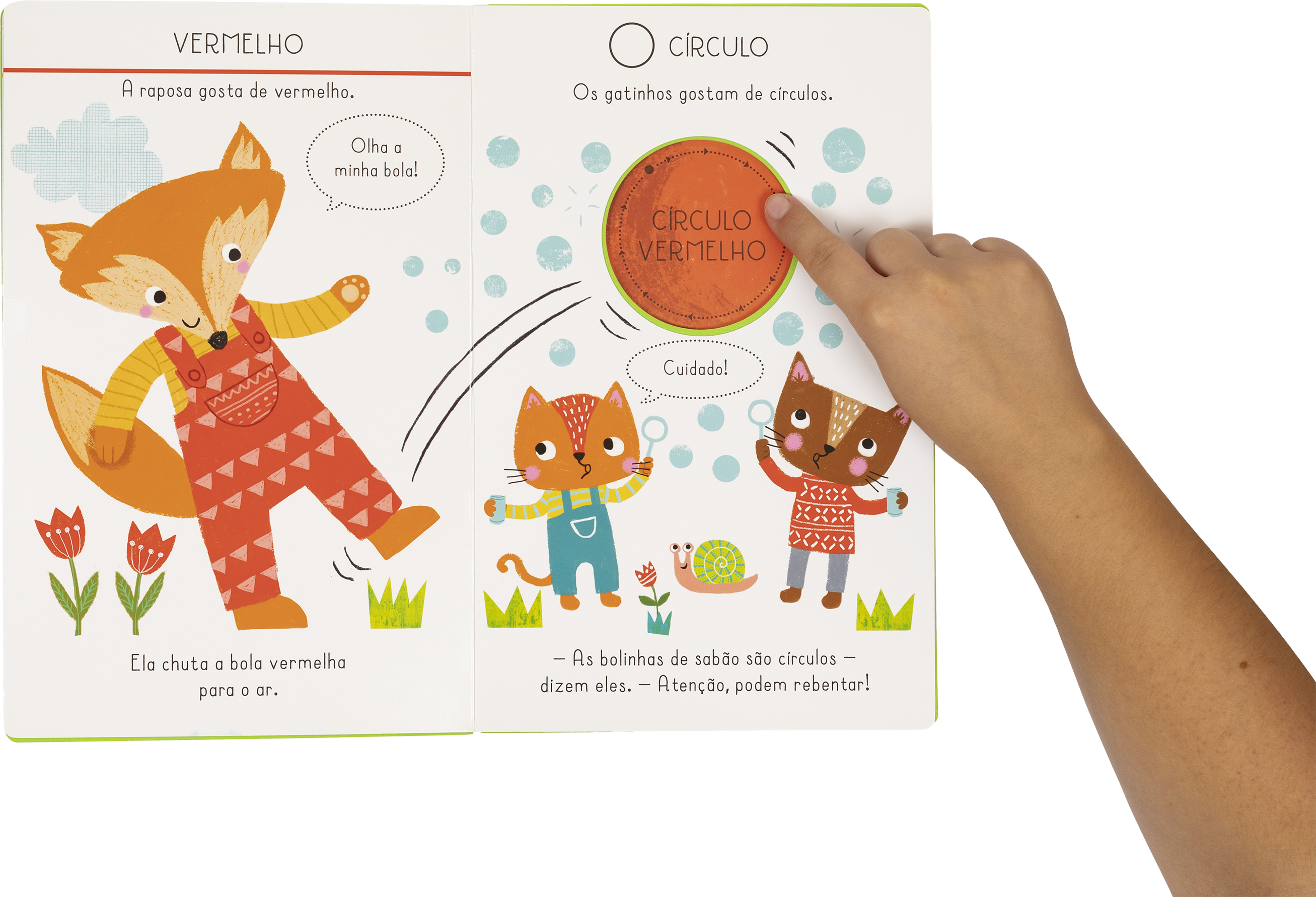 O meu primeiro livro das Cores e Formas ( Imagem 2 de 2 ) - Preview