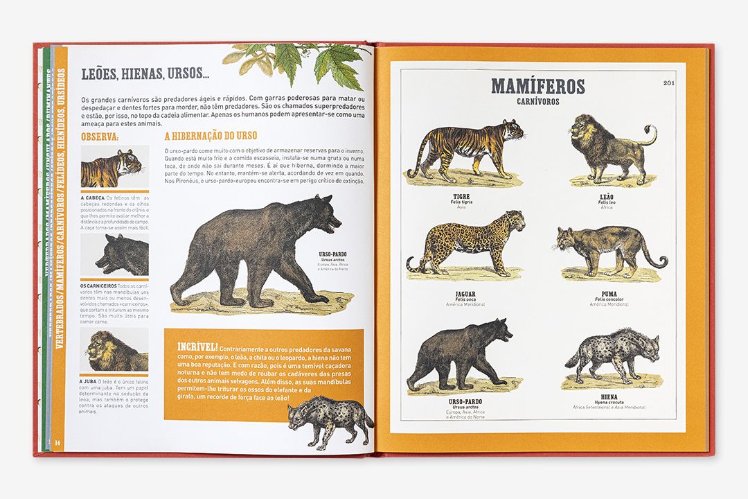 O Grande Livro dos Animais ( Imagem 2 de 3 ) - Preview
