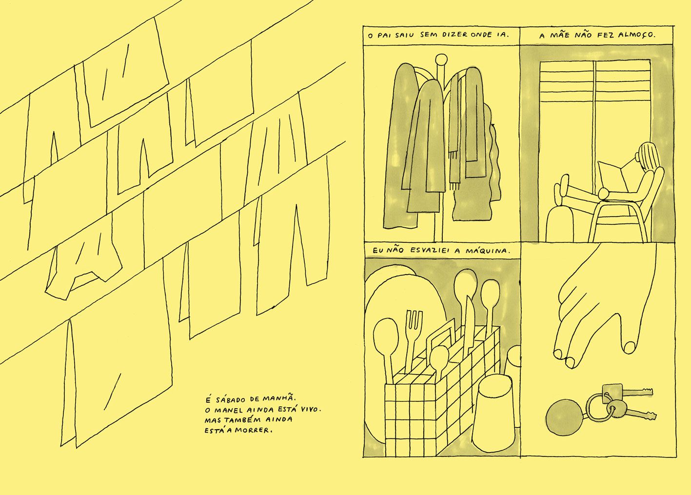 Gato Comum ( Imagem 3 de 4 ) - Preview
