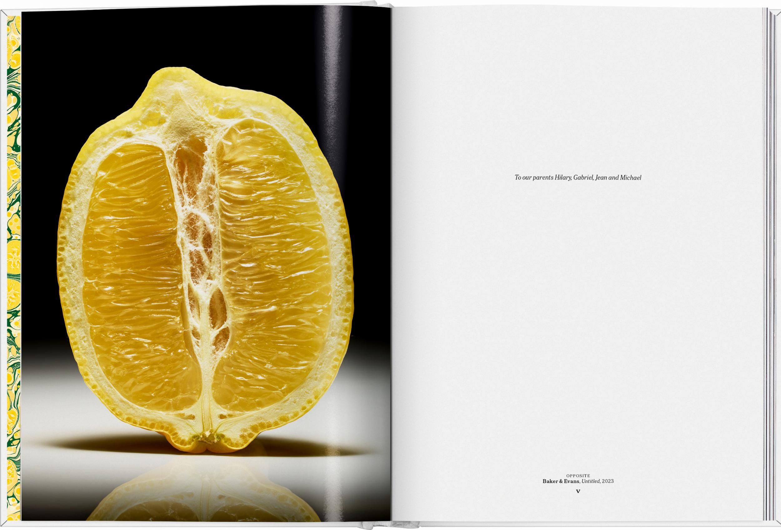 The Gourmand's Lemon ( Imagem 2 de 4 ) - Preview