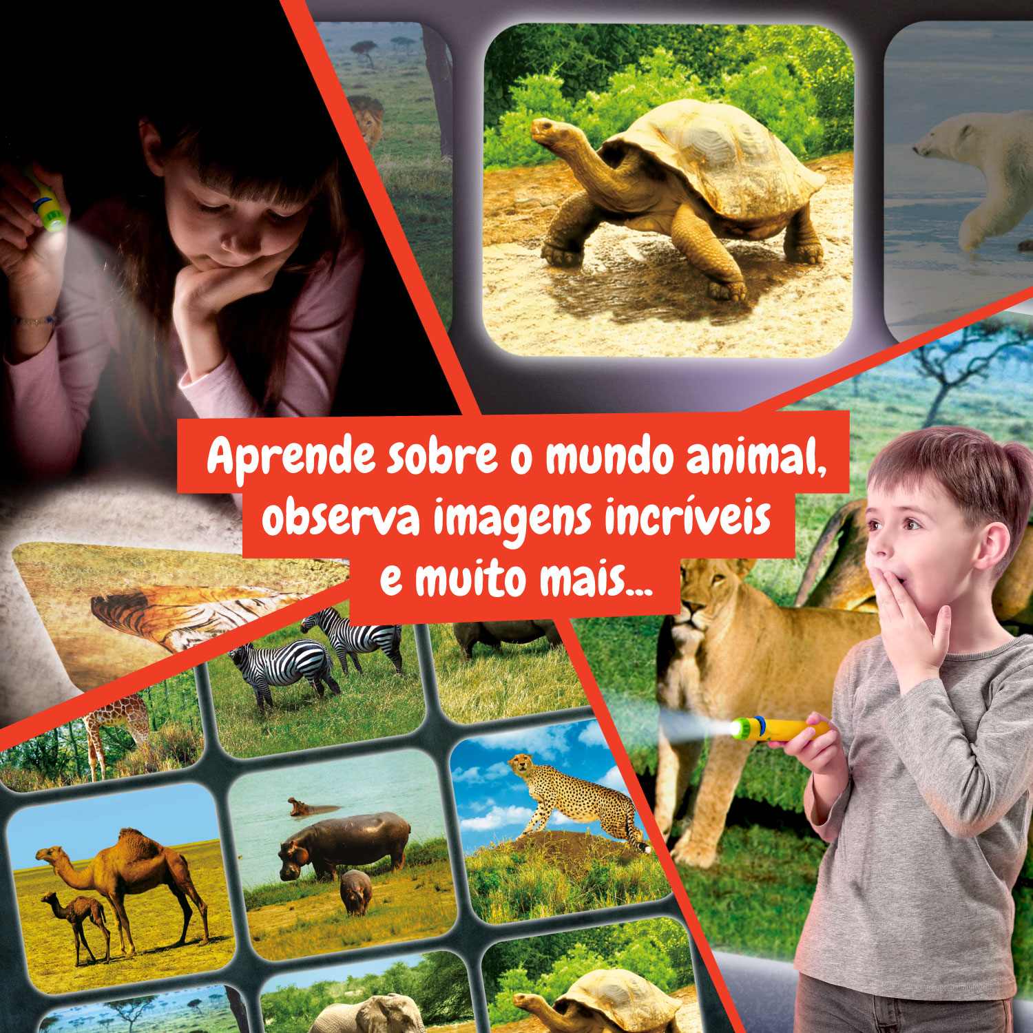 Science4you Projetor Lanterna de Animais ( Imagem 4 de 8 ) - Preview