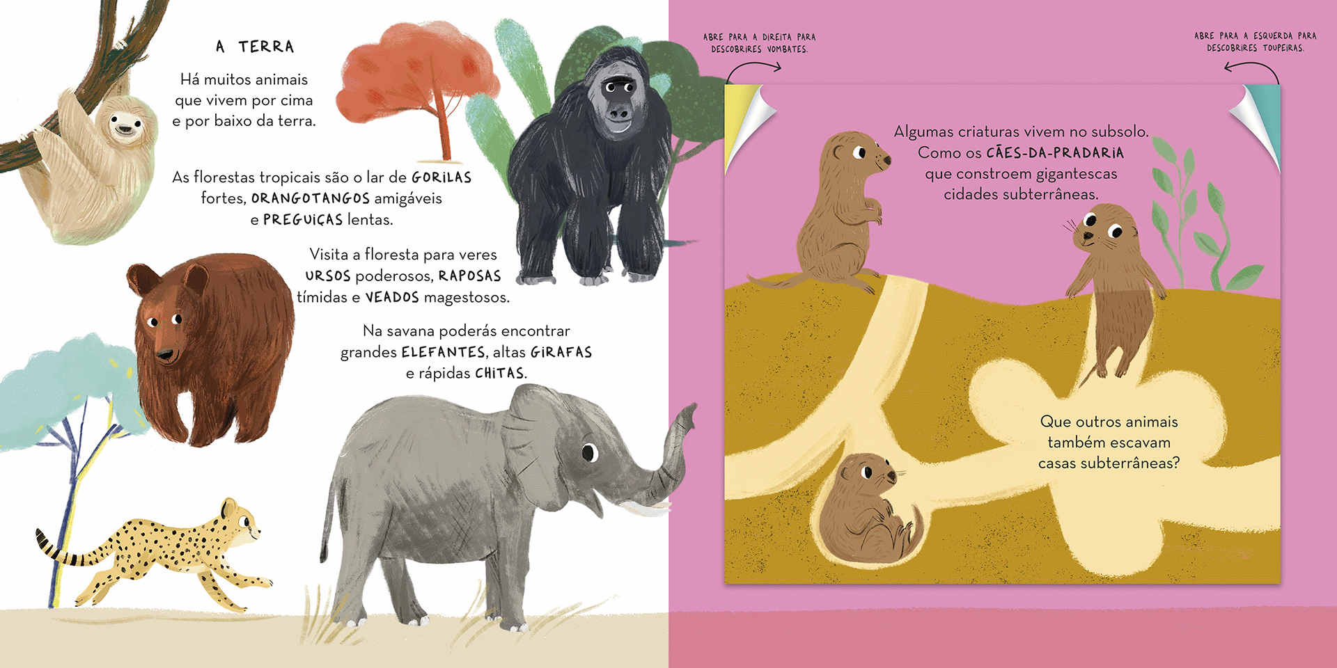 Os Animais ( Imagem 2 de 2 ) - Preview