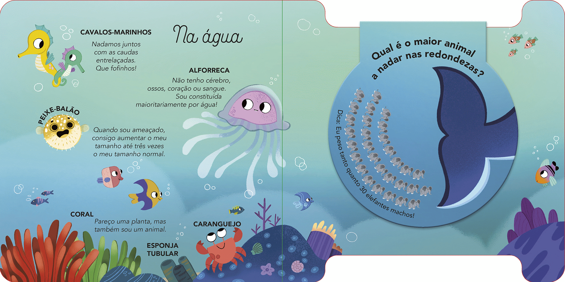 Animais ( Imagem 2 de 2 ) - Preview