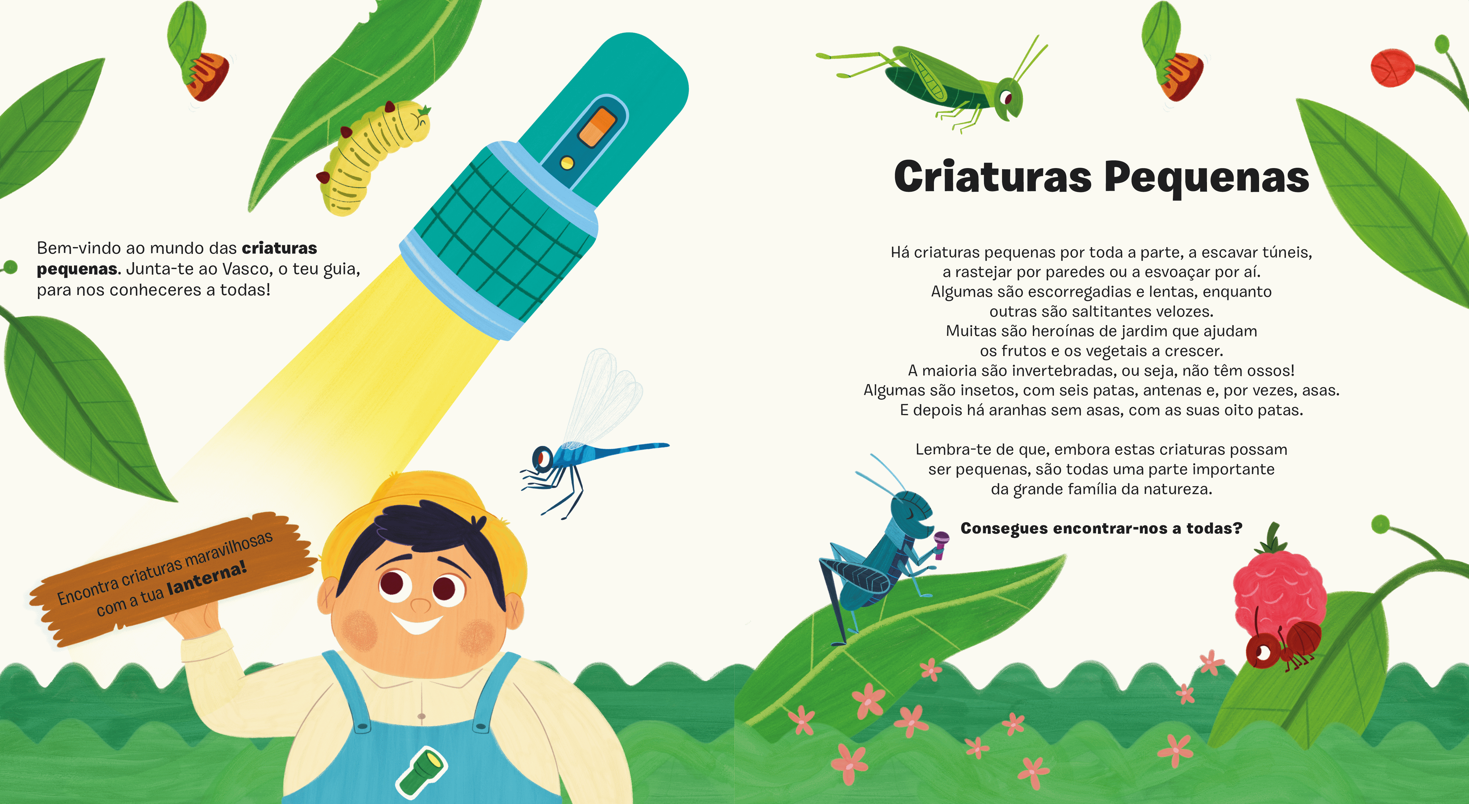 Criaturas Pequenas ( Imagem 2 de 2 ) - Preview