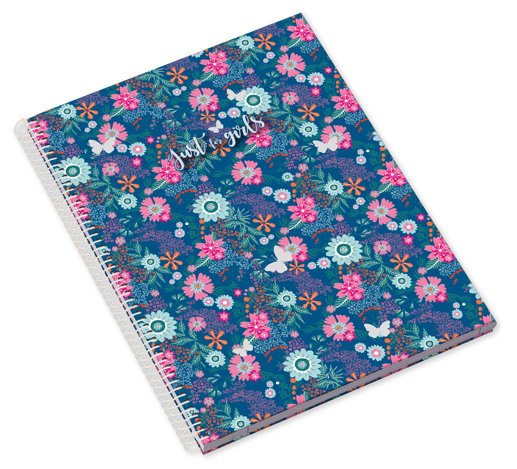 Caderno Espiral Capa Dura A4 80F 90G Just4Girls Pautado 24 ( Imagem 2 de 3 ) - Preview