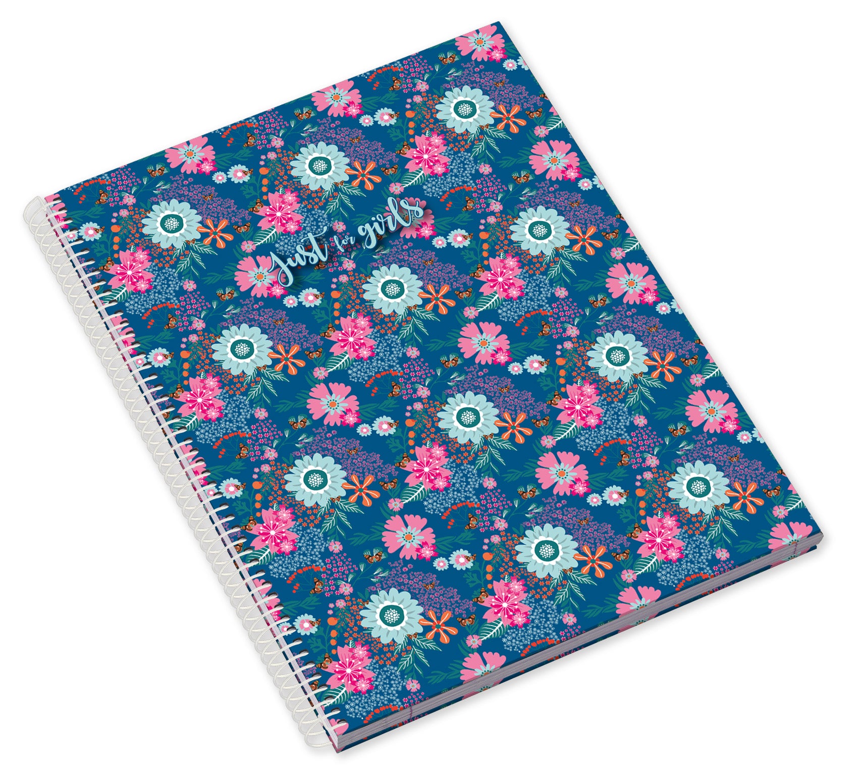 Caderno Espiral Capa Dura A5 80F 90G Just4Girls Pautado 24 ( Imagem 2 de 3 ) - Preview