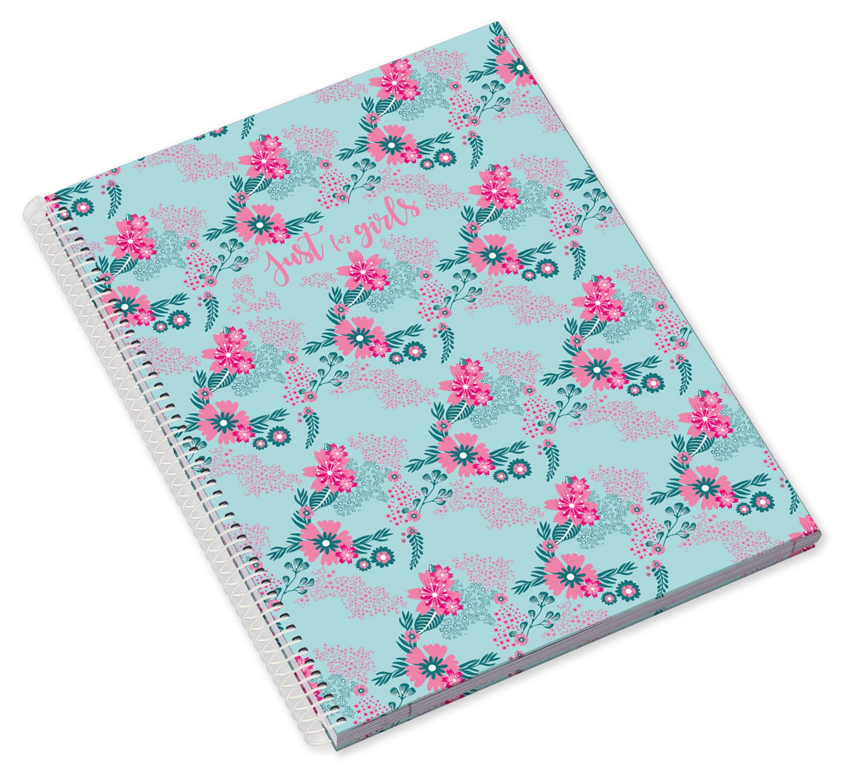 Caderno Espiral Capa Dura A5 80F 90G Just4Girls Pautado 24 ( Imagem 3 de 3 ) - Preview