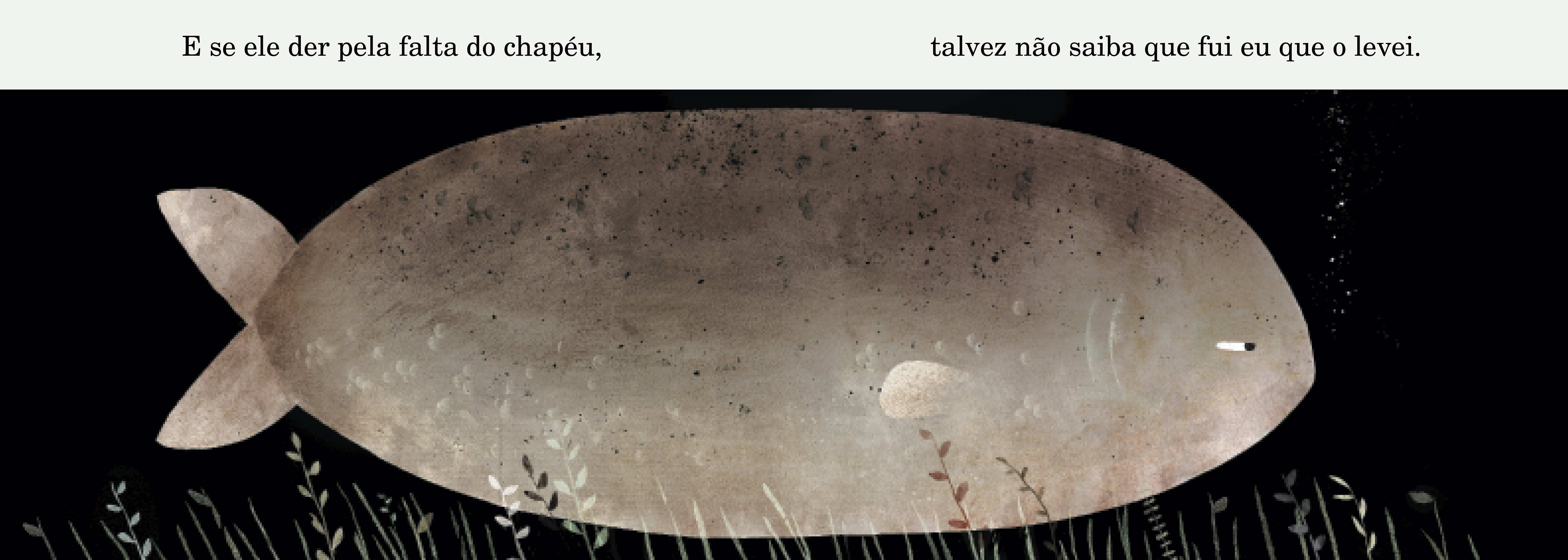 Este Chapéu Não é Meu ( Imagem 2 de 3 ) - Preview