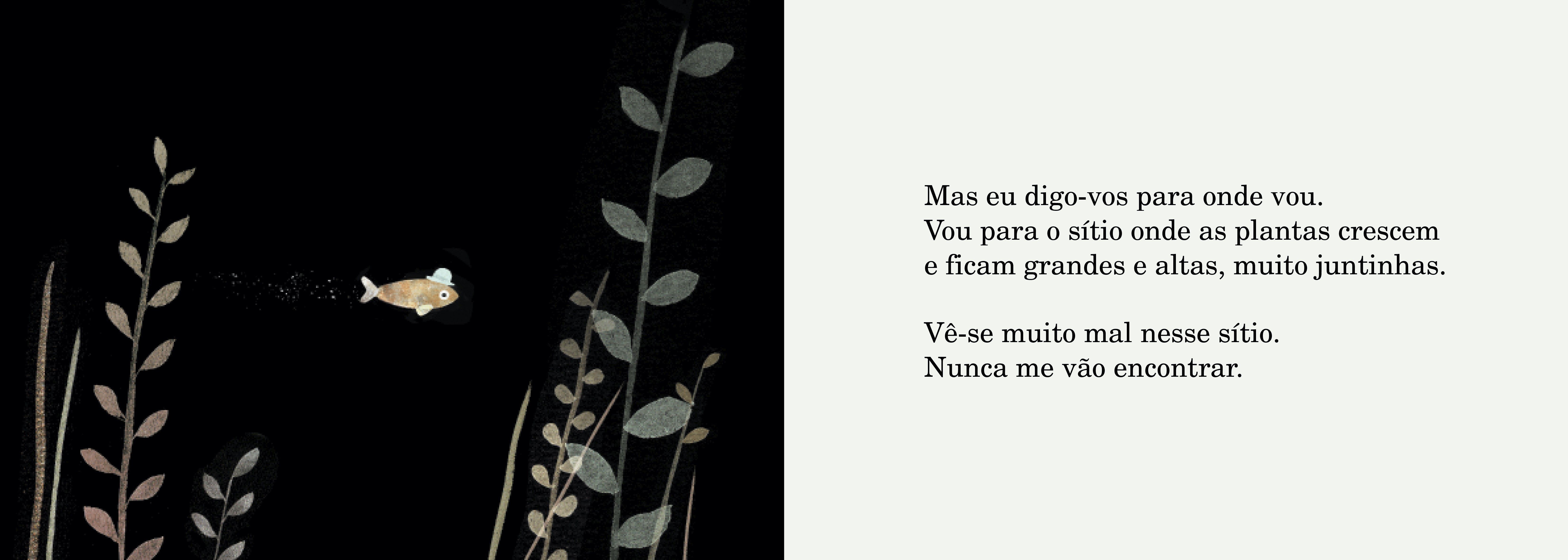 Este Chapéu Não é Meu ( Imagem 3 de 3 ) - Preview