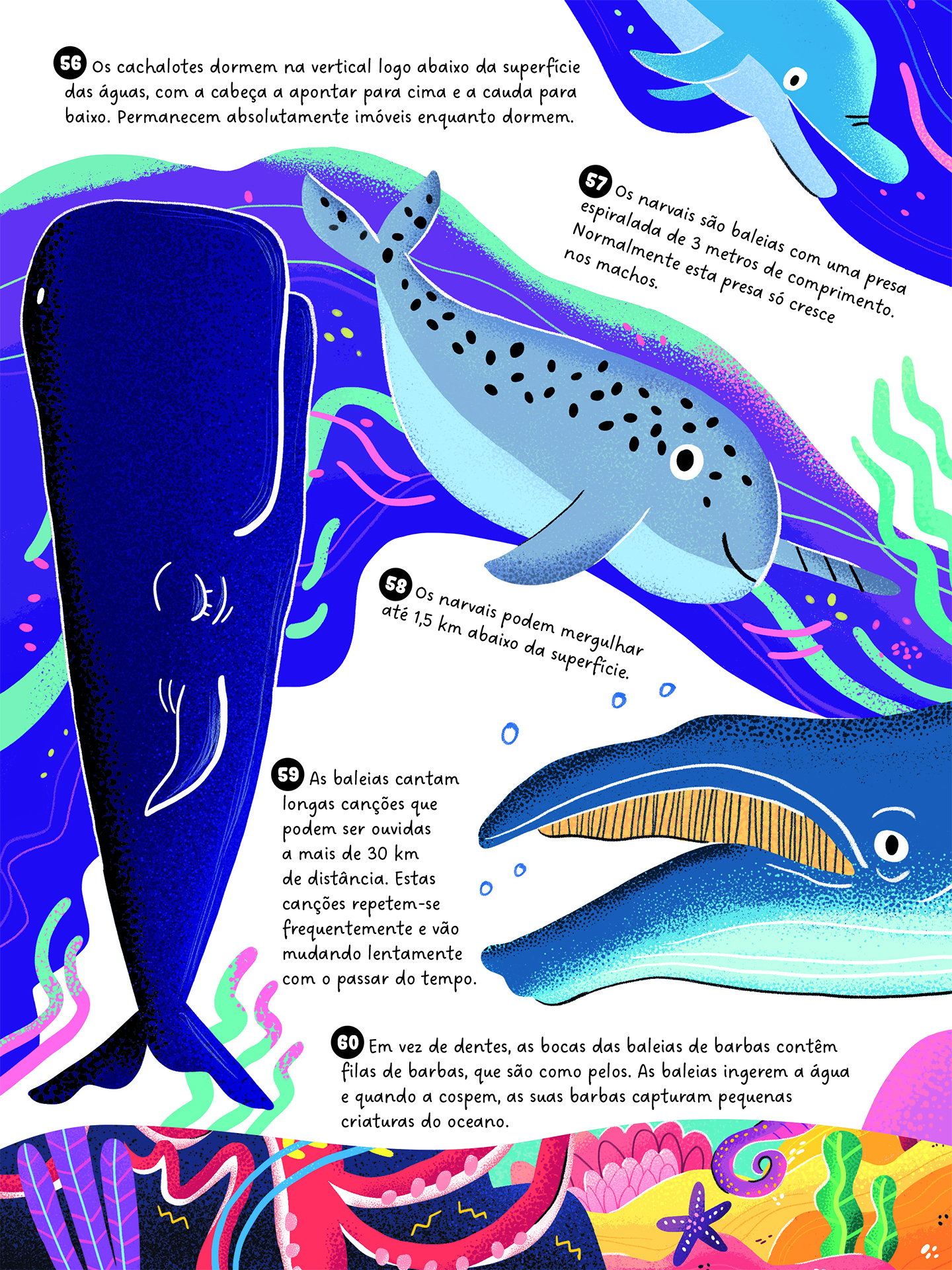 O Oceano ( Imagem 2 de 2 ) - Preview