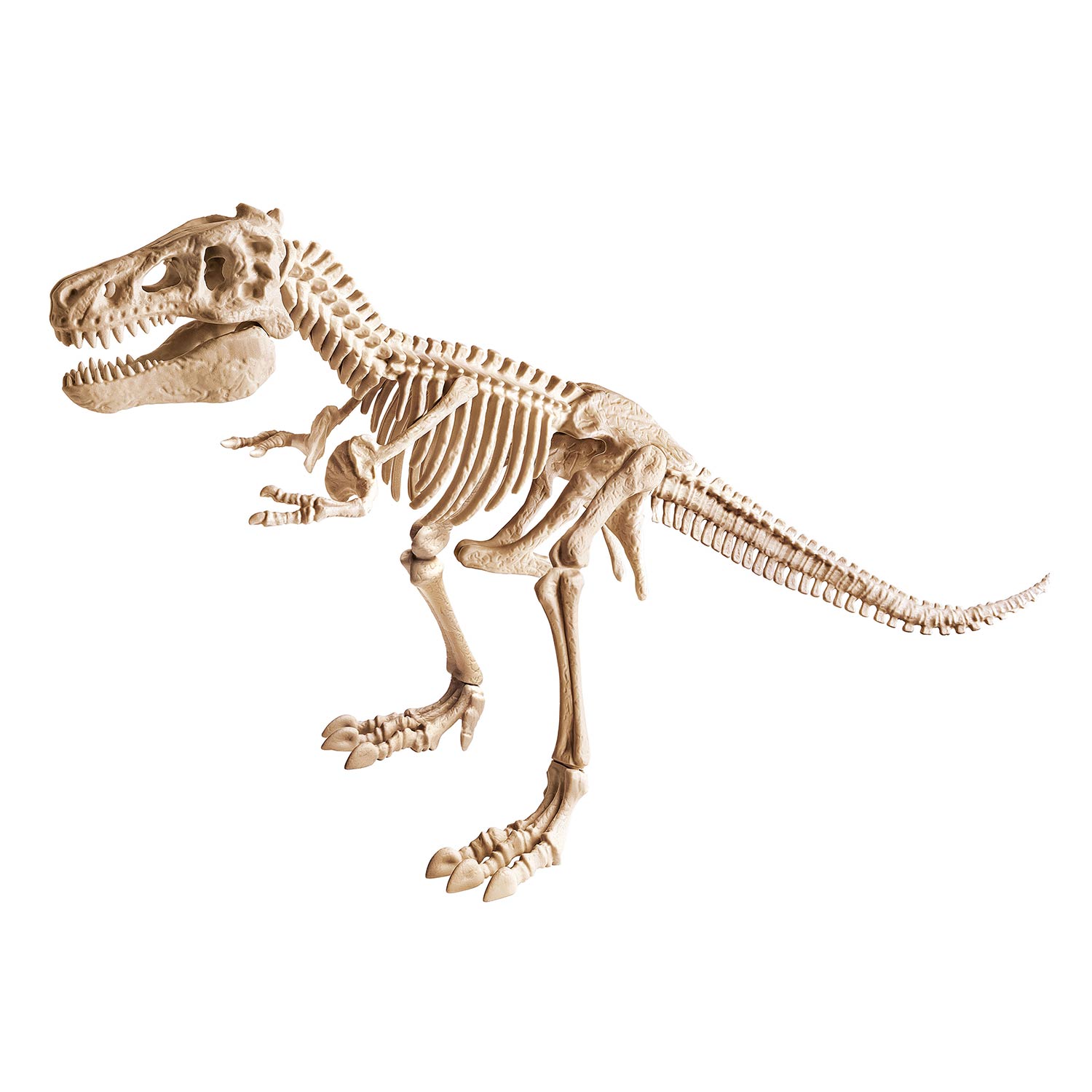 Kit Arqueologia - T-Rex Gigante Ciência & Jogo 67361 ( Imagem 2 de 2 ) - Preview